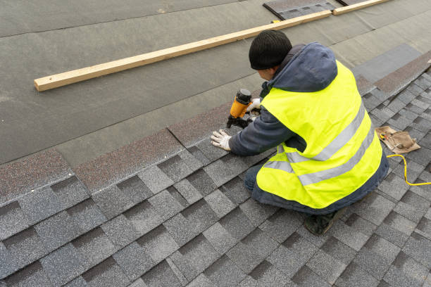 Best Roof Leak Repair  in Carlisle, IA